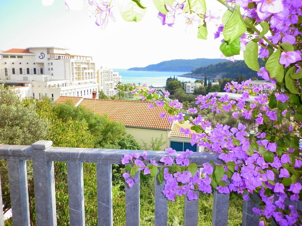 Desa Budva
